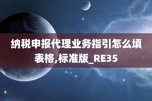 纳税申报代理业务指引怎么填表格,标准版_RE35