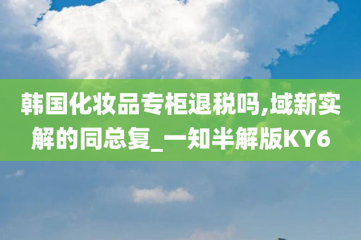 韩国化妆品专柜退税吗,域新实解的同总复_一知半解版KY6