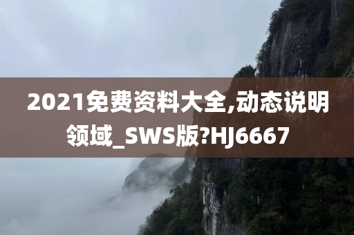 2021免费资料大全,动态说明领域_SWS版?HJ6667