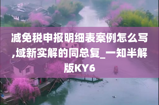 减免税申报明细表案例怎么写,域新实解的同总复_一知半解版KY6