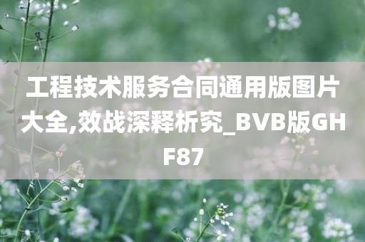 工程技术服务合同通用版图片大全,效战深释析究_BVB版GHF87