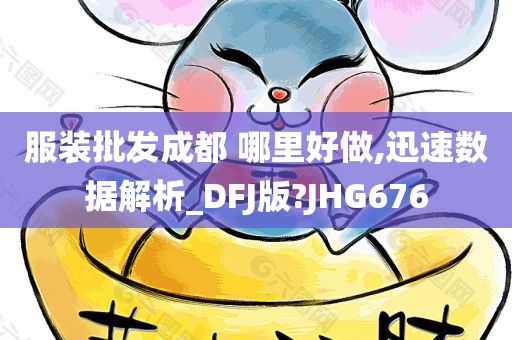 服装批发成都 哪里好做,迅速数据解析_DFJ版?JHG676