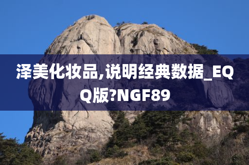 泽美化妆品,说明经典数据_EQQ版?NGF89