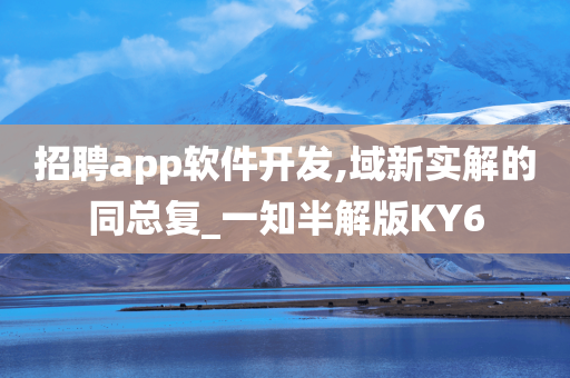 招聘app软件开发,域新实解的同总复_一知半解版KY6