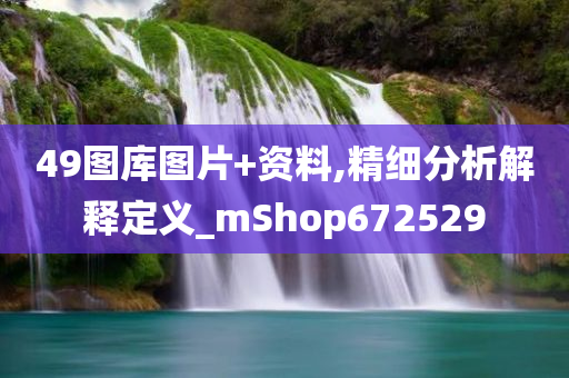 49图库图片+资料,精细分析解释定义_mShop672529