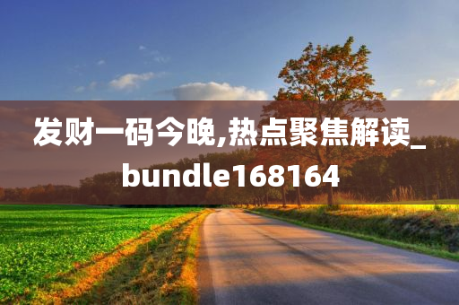 发财一码今晚,热点聚焦解读_bundle168164