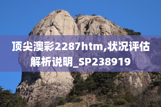 顶尖澳彩2287htm,状况评估解析说明_SP238919