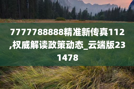 7777788888精准新传真112,权威解读政策动态_云端版231478