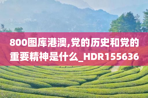 800图库港澳,党的历史和党的重要精神是什么_HDR155636