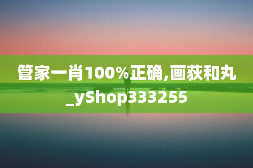 管家一肖100%正确,画荻和丸_yShop333255