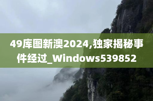 49库图新澳2024,独家揭秘事件经过_Windows539852