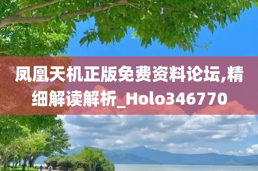 凤凰天机正版免费资料论坛,精细解读解析_Holo346770