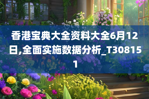 香港宝典大全资料大全6月12日,全面实施数据分析_T308151