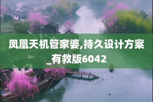 凤凰天机管家婆,持久设计方案_有救版6042