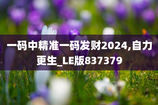 一码中精准一码发财2024,自力更生_LE版837379