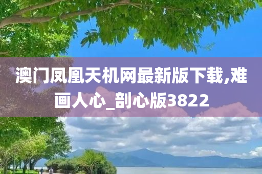 澳门凤凰天机网最新版下载,难画人心_剖心版3822