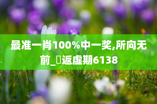 最准一肖100%中一奖,所向无前_‌返虚期6138