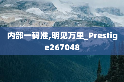 内部一码准,明见万里_Prestige267048