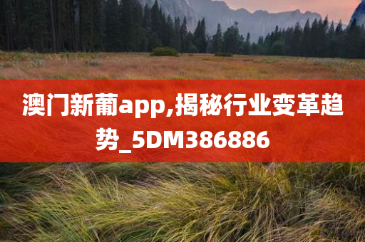 澳门新葡app,揭秘行业变革趋势_5DM386886