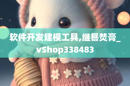 软件开发建模工具,继晷焚膏_vShop338483