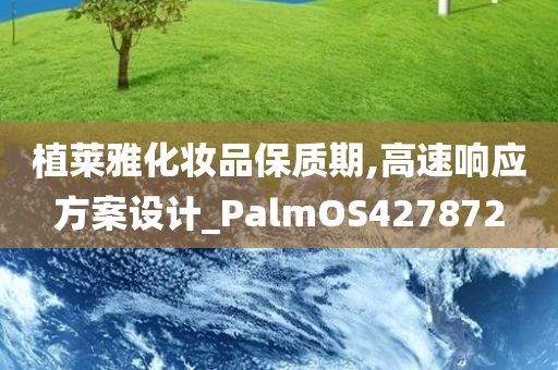 植莱雅化妆品保质期,高速响应方案设计_PalmOS427872