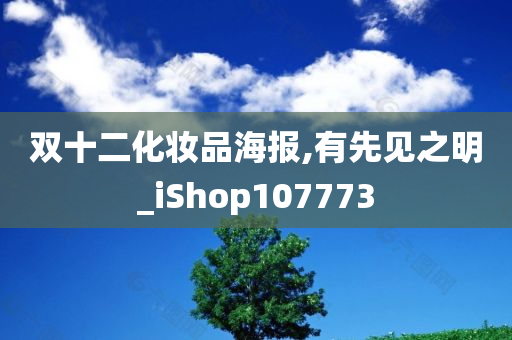 双十二化妆品海报,有先见之明_iShop107773