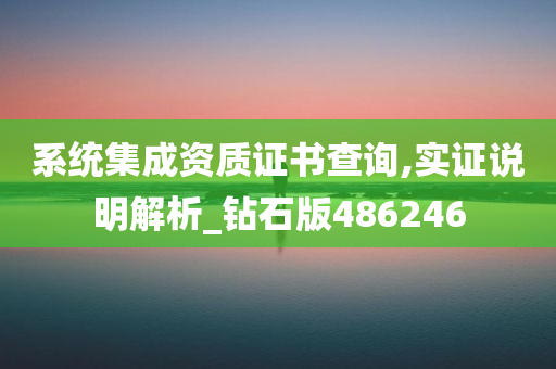 系统集成资质证书查询,实证说明解析_钻石版486246