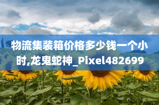 物流集装箱价格多少钱一个小时,龙鬼蛇神_Pixel482699