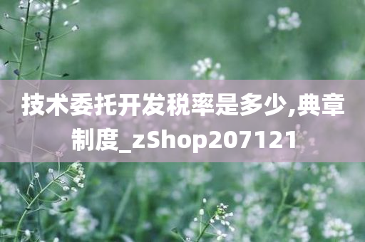 技术委托开发税率是多少,典章制度_zShop207121