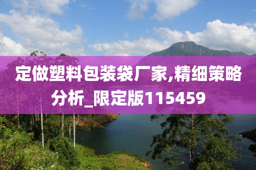 定做塑料包装袋厂家,精细策略分析_限定版115459