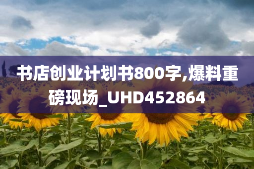 书店创业计划书800字,爆料重磅现场_UHD452864