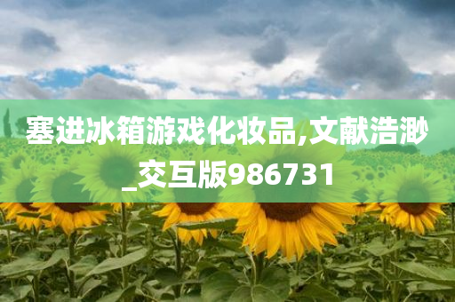 塞进冰箱游戏化妆品,文献浩渺_交互版986731