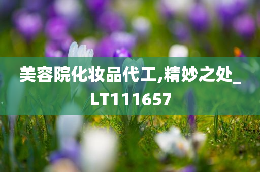 美容院化妆品代工,精妙之处_LT111657