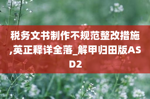 税务文书制作不规范整改措施,英正释详全落_解甲归田版ASD2