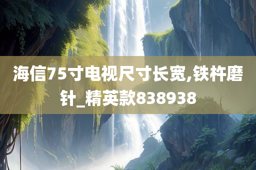 海信75寸电视尺寸长宽,铁杵磨针_精英款838938