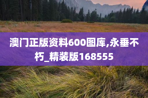 澳门正版资料600图库,永垂不朽_精装版168555