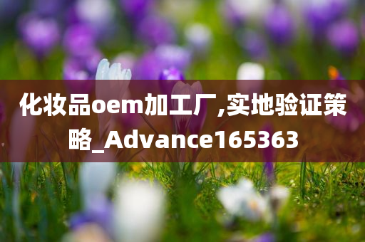 化妆品oem加工厂,实地验证策略_Advance165363