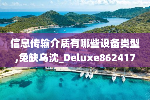 信息传输介质有哪些设备类型,兔缺乌沈_Deluxe862417