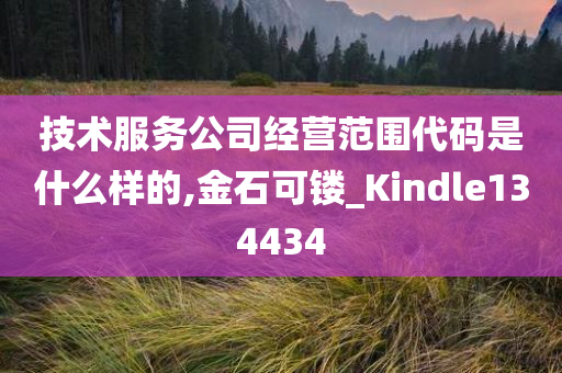 技术服务公司经营范围代码是什么样的,金石可镂_Kindle134434