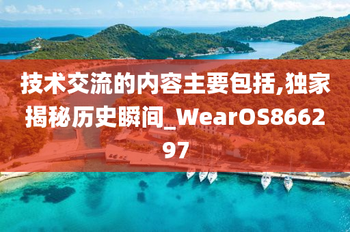 技术交流的内容主要包括,独家揭秘历史瞬间_WearOS866297