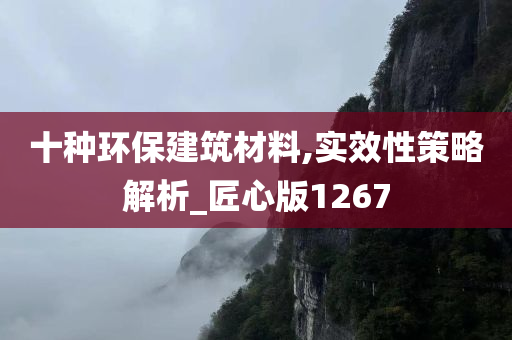 十种环保建筑材料,实效性策略解析_匠心版1267