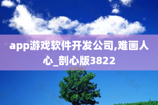 app游戏软件开发公司,难画人心_剖心版3822