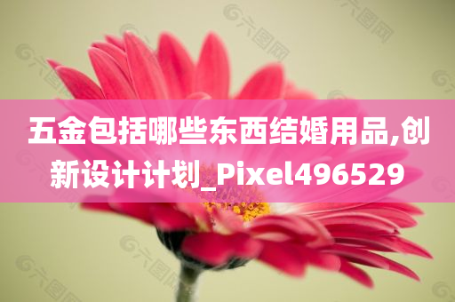 五金包括哪些东西结婚用品,创新设计计划_Pixel496529