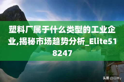 塑料厂属于什么类型的工业企业,揭秘市场趋势分析_Elite518247