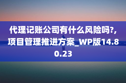 代理记账公司有什么风险吗?,项目管理推进方案_WP版14.80.23