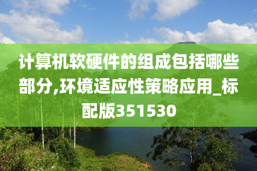 计算机软硬件的组成包括哪些部分,环境适应性策略应用_标配版351530