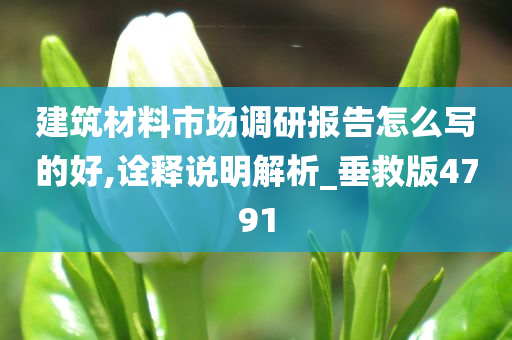 建筑材料市场调研报告怎么写的好,诠释说明解析_垂救版4791