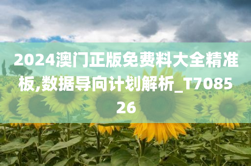 2024澳门正版免费料大全精准板,数据导向计划解析_T708526