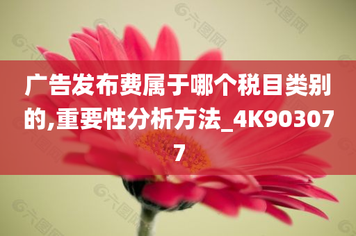 广告发布费属于哪个税目类别的,重要性分析方法_4K903077