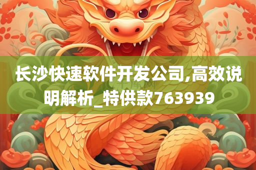 长沙快速软件开发公司,高效说明解析_特供款763939